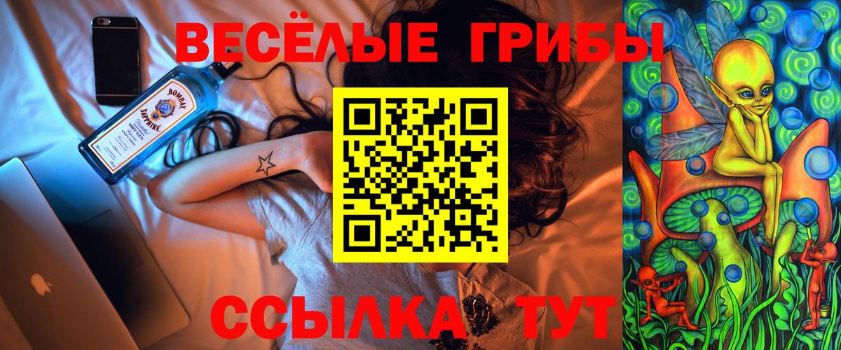 Псилоцибиновые грибы GOLDEN TEACHER Кизляр
