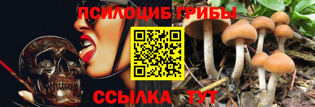 Псилоцибиновые грибы MAGIC MUSHROOMS  Вход с VPN  Кизляр 